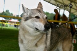 IMG_2516.jpg