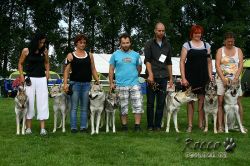 IMG_2527.jpg