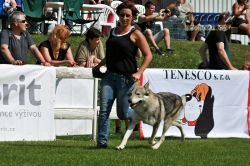IMG_2578.jpg