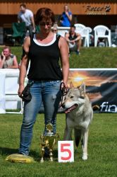 IMG_2586.jpg