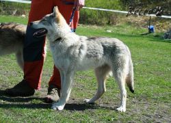 KV_Horovice09-005_02.jpg