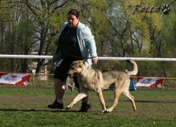 KV_Horovice09-007.jpg