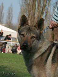 KV_Horovice09-007_01.jpg
