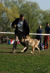 KV_Horovice09-008.jpg