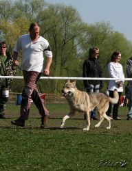 KV_Horovice09-012.jpg