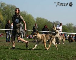KV_Horovice09-014.jpg