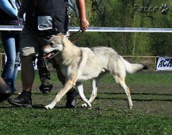 KV_Horovice09-015.jpg
