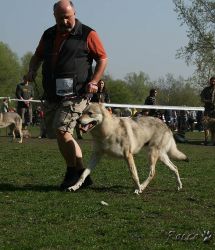 KV_Horovice09-015_01.jpg