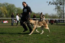 KV_Horovice09-016_001.jpg
