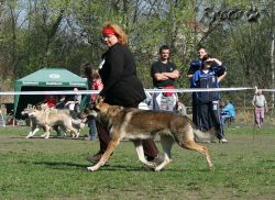 KV_Horovice09-017.jpg