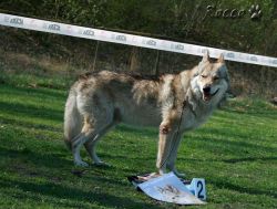 KV_Horovice09-019.jpg