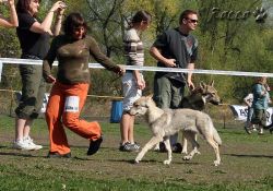KV_Horovice09-021.jpg