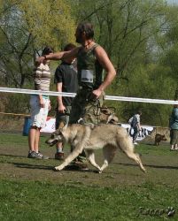 KV_Horovice09-026.jpg