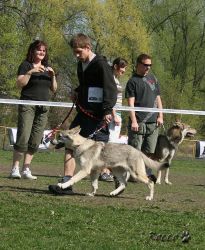 KV_Horovice09-027.jpg