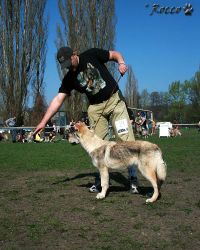 KV_Horovice09-029.jpg