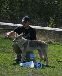 KV_Horovice09-029_01.jpg