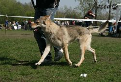 KV_Horovice09-034.jpg