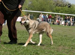 KV_Horovice09-038.jpg