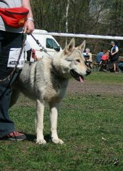 KV_Horovice09-040.jpg