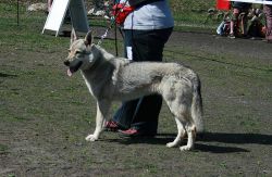 KV_Horovice09-040_01.jpg