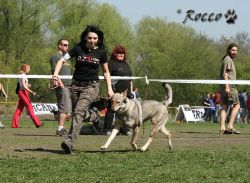 KV_Horovice09-041.jpg