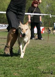 KV_Horovice09-042.jpg