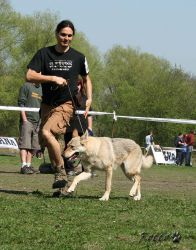 KV_Horovice09-043.jpg
