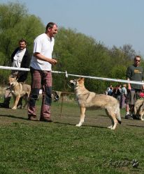 KV_Horovice09-044.jpg
