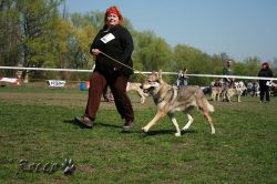 KV_Horovice09-045.jpg