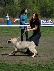 KV_Horovice09-away.jpg