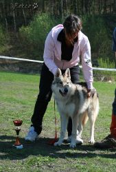 KV_Horovice09-dorost.jpg