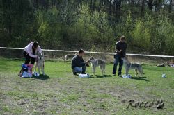 KV_Horovice09-f_dorost.jpg