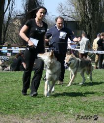 KV_Horovice09-mio_will.jpg