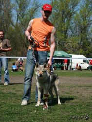 KV_Horovice09-mlady.jpg