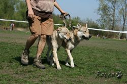 KV_Horovice09-par03.jpg