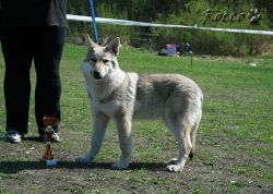 KV_Horovice09-stene.jpg