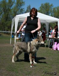 KV_Horovice09-veteran.jpg