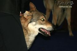 IMG_0007.jpg