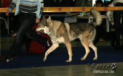 IMG_0021.jpg