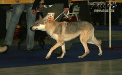 IMG_0042.jpg
