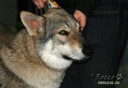 IMG_0044.jpg