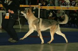 IMG_0052.jpg
