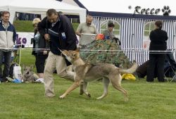 IMG_0032.jpg