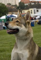 IMG_0046.jpg