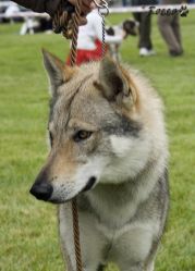 IMG_0067.jpg
