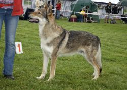 IMG_0158.jpg
