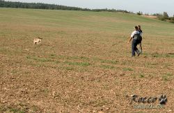 IMG_0073.jpg