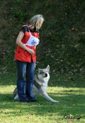 IMG_0087.jpg