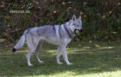 IMG_0096.jpg