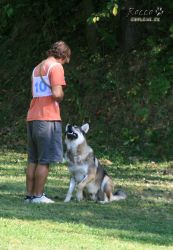 IMG_0099.jpg